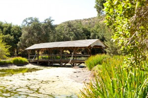 Lake - Classic Bridge - Rural Set