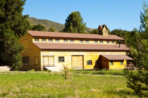 Grand Hall - Unique Construction - Handmade - Practical Interior