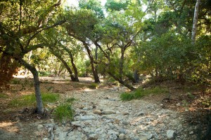 Dry Riverbed - River stone - Natural Area