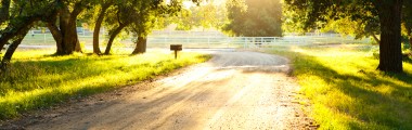 Sunset - Corral - Dirt Road - Mature Trees