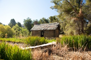 Log Cabin - Northeast View