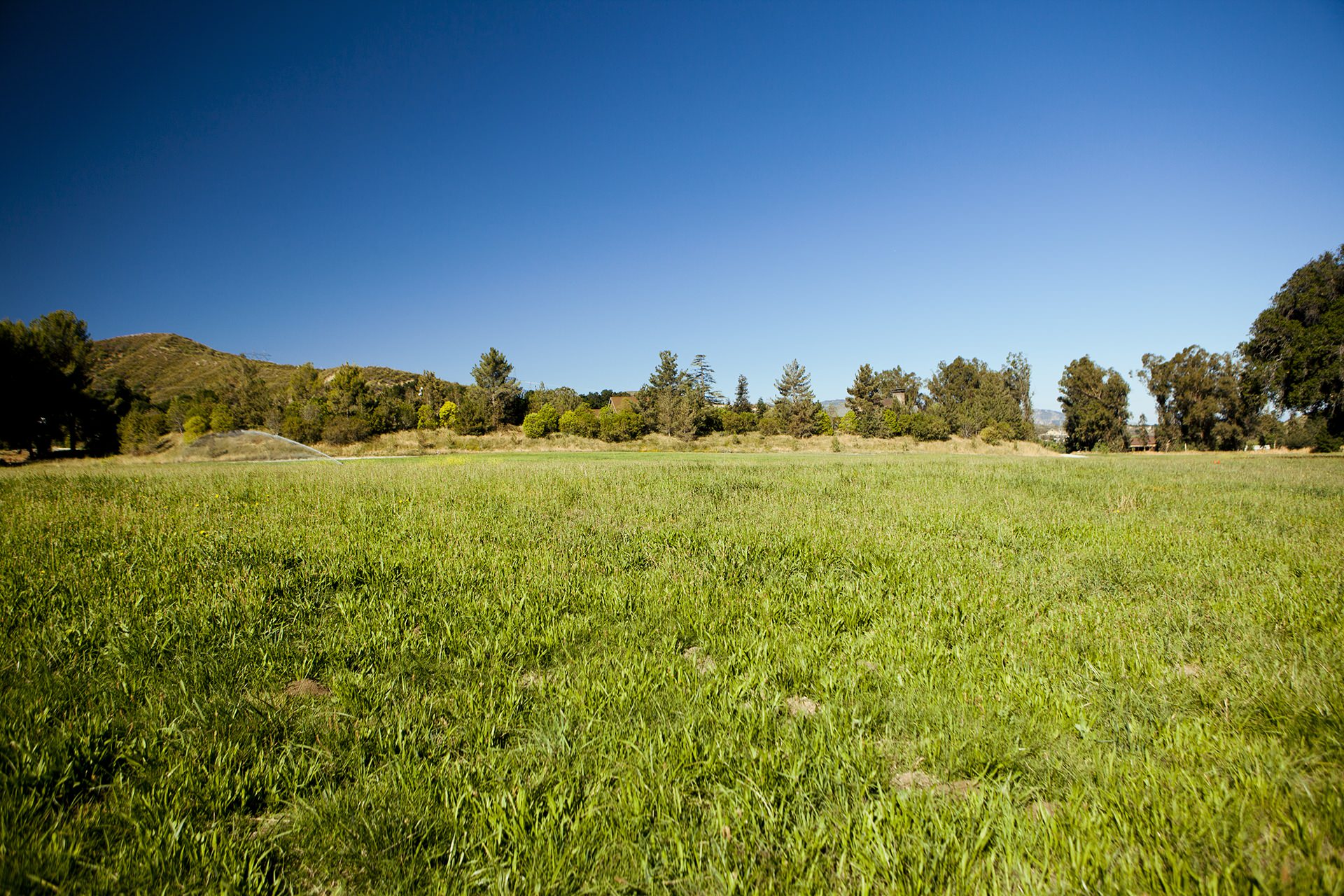 Big West Meadow - Open Plain