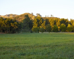 Big West Meadow - Rolling Hills