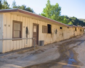 Corral - Horse Stable
