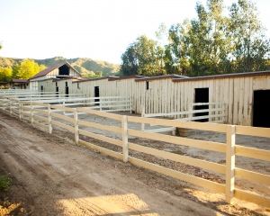 Stable - East Side