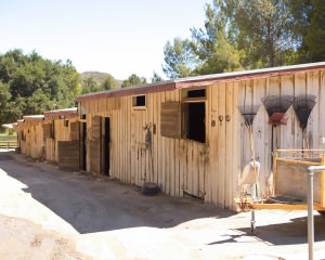 Stable - West Side