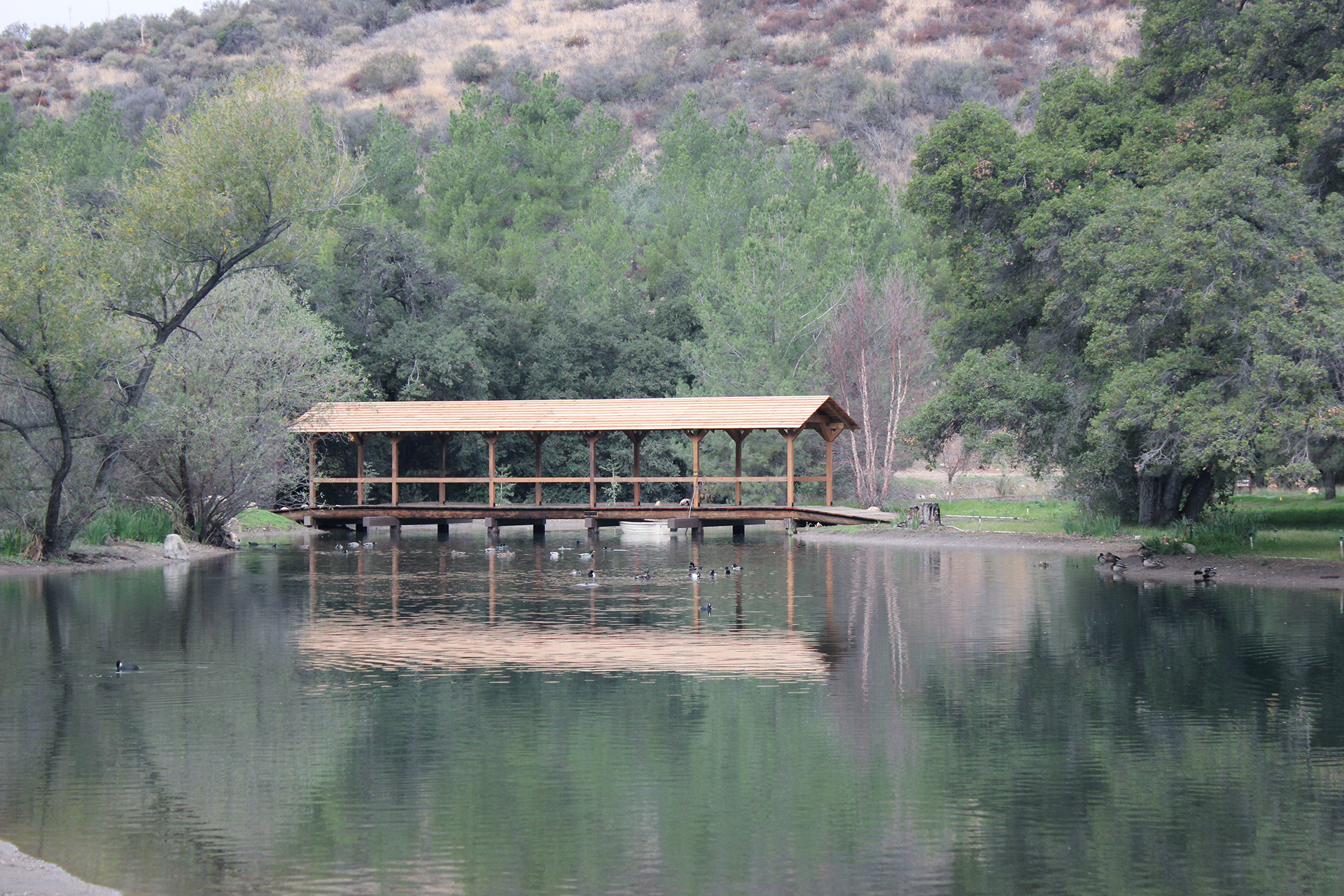 Covered Bridge - North View