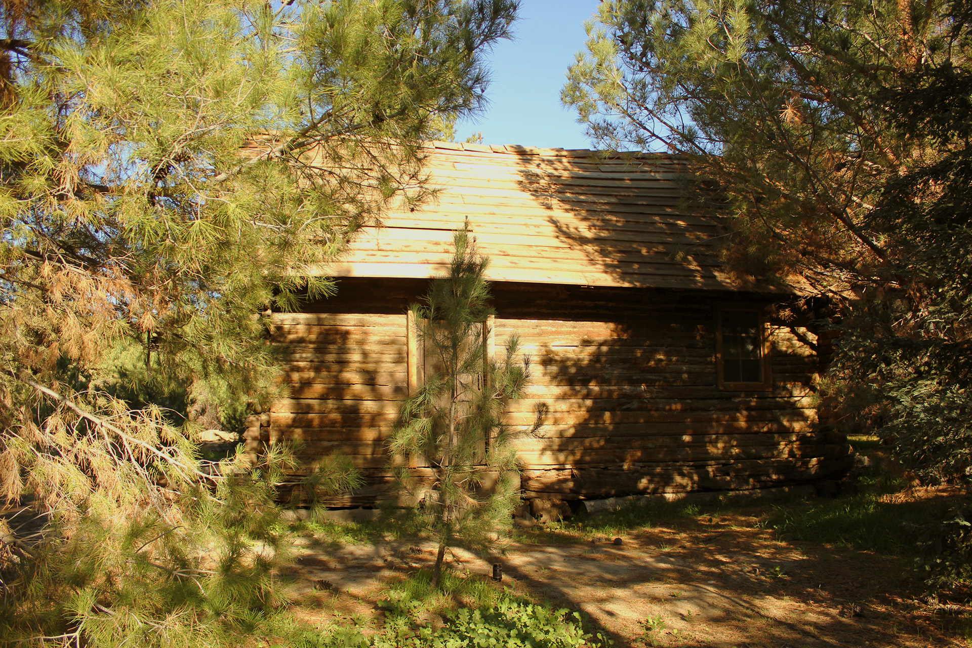Cabin at Pine Lake - West Side