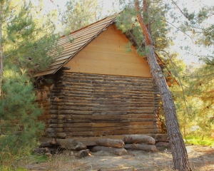 Cabin at Pine Lake - South Side
