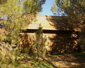 Cabin at Pine Lake - West Side
