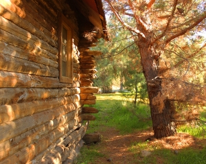 Cabin at Pine Lake - Looking South