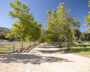 Main Ranch House - Road
