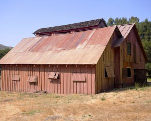 Pee-Wee Barn - Full Exterior