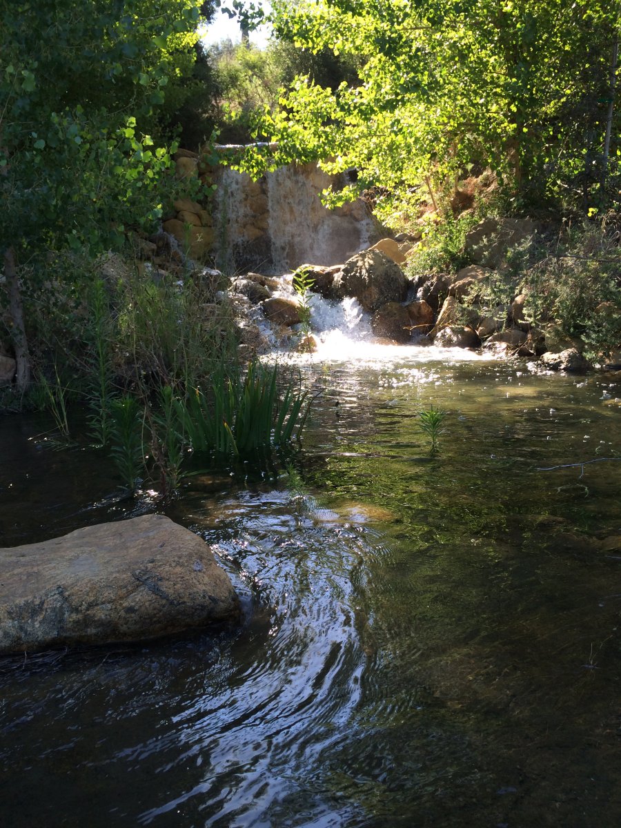 Pine Lake Waterfall - Early morning view