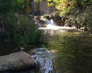 Pine Lake Waterfall - Early morning view
