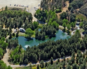 Pine Lake - Aerial