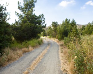 Pine Lake - Access Road, Traveling South