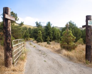 Pine Lake - Entrance Gate