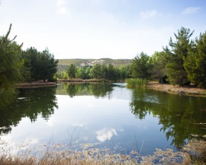 Pine Lake - Long View