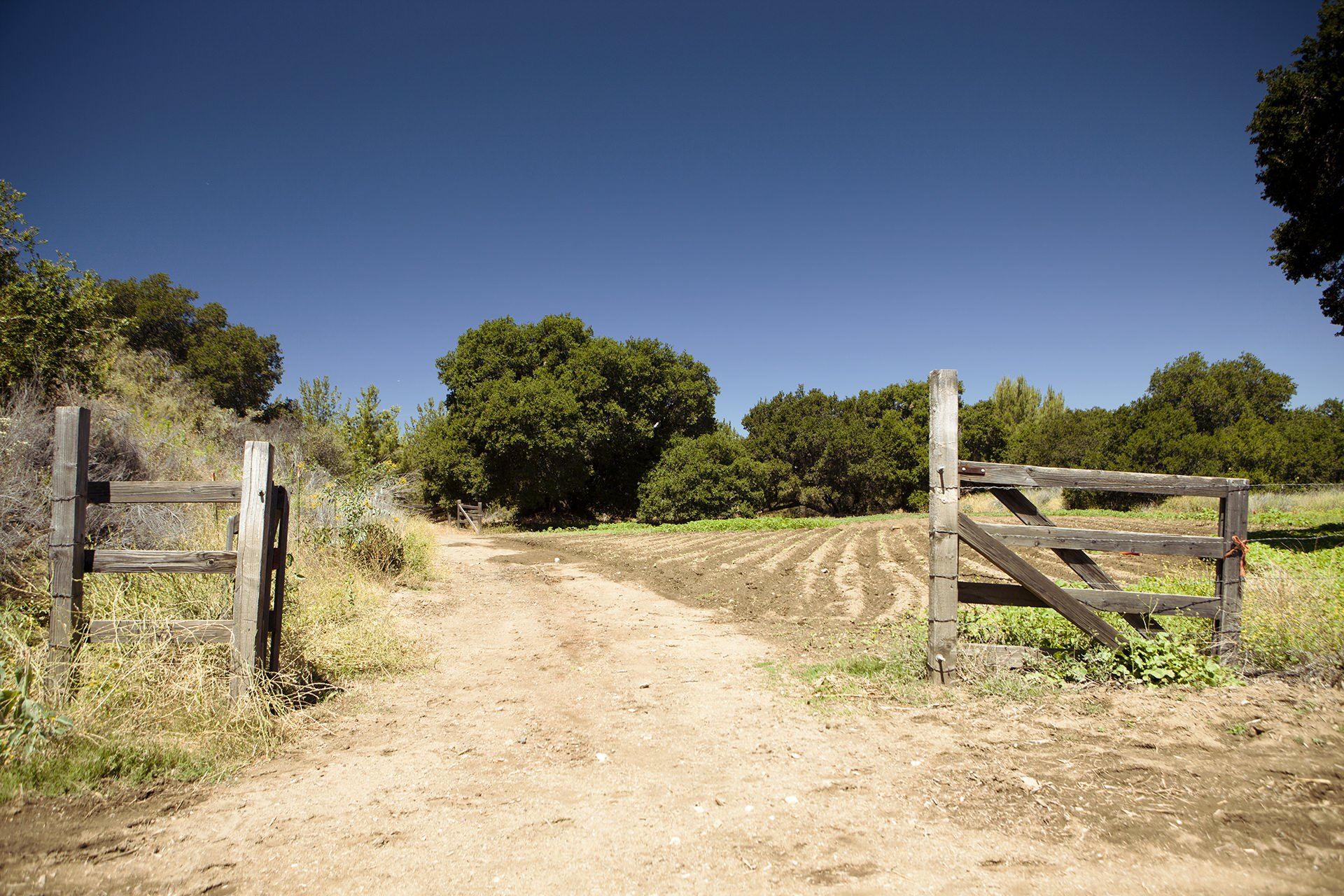 Plateau Meadow - Gate